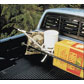 Cargo Bar - 1970000