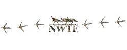 NWTF Windshield Decal - WHITE NDE1402