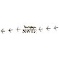 NWTF Windshield Decal - WHITE - NDE1402