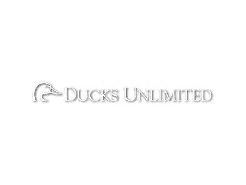 ducks unlimited windshield decal
